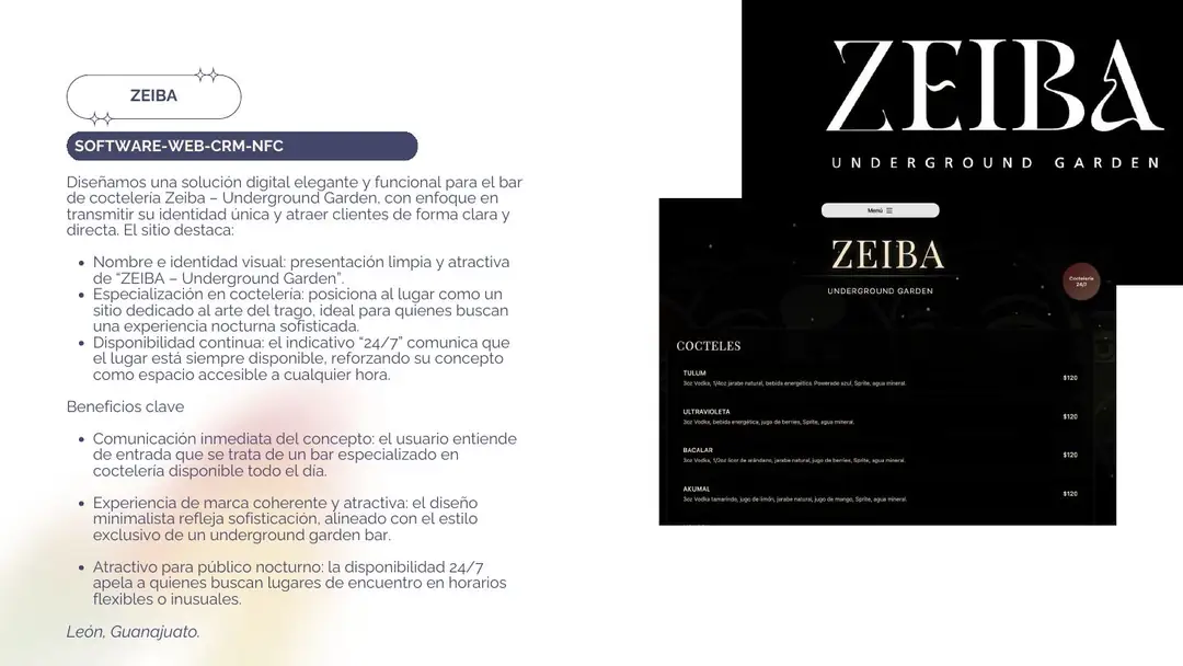 Proyecto ZEIBA